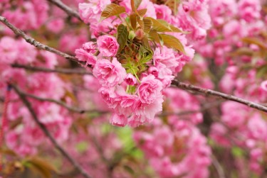 常州武进区1线下个人借款平台一站式服务，轻松解决资金难题