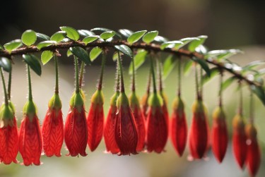 常州武进区1零用贷短借：轻松解决临时资金需求