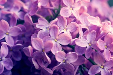 常州武进区1企业急用钱贷款攻略：快速融资解燃眉之急